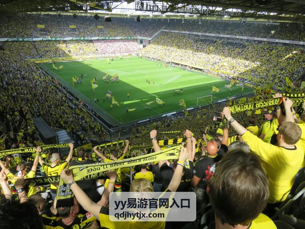 yy易游官网入口使用状态与账号提示